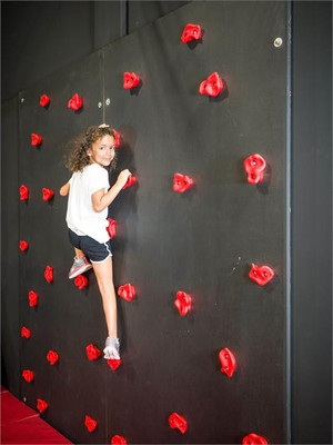 G2N Climbing Wall - 2 Panels