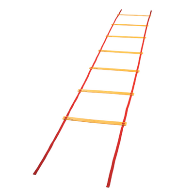 Economy Agility Ladder